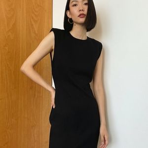 Brand new Aritzia Babaton Galvin dress!!
